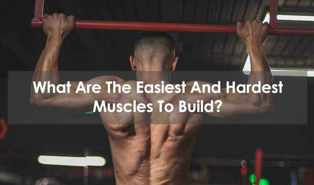 what are the easiest and hardest muscles to build