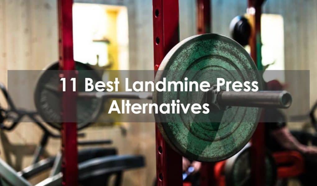 landmine press alternative
