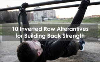 inverted row alternative