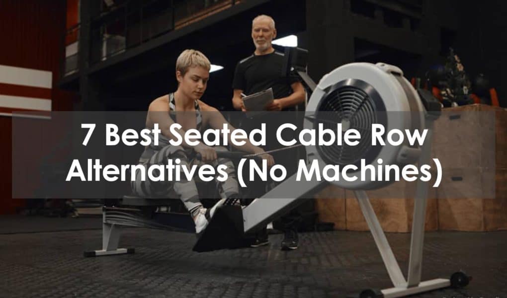 seated cable row alternative