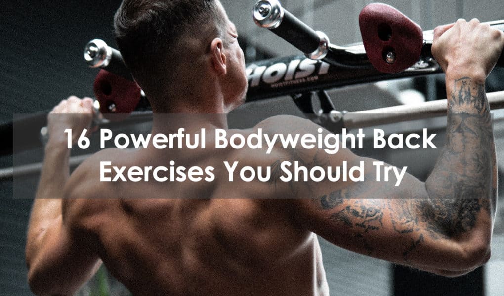 bodyweight back exercises