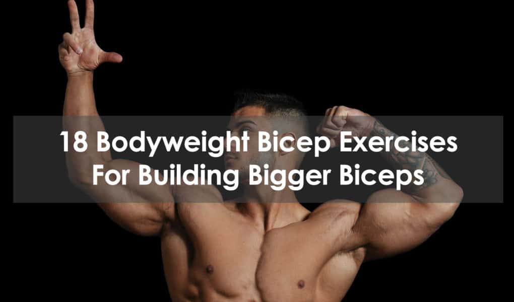 bodyweight bicep exercises