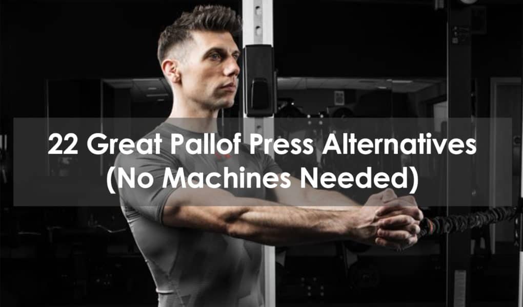 pallof press alternative