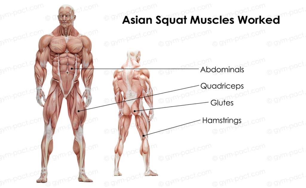 Asian squat
