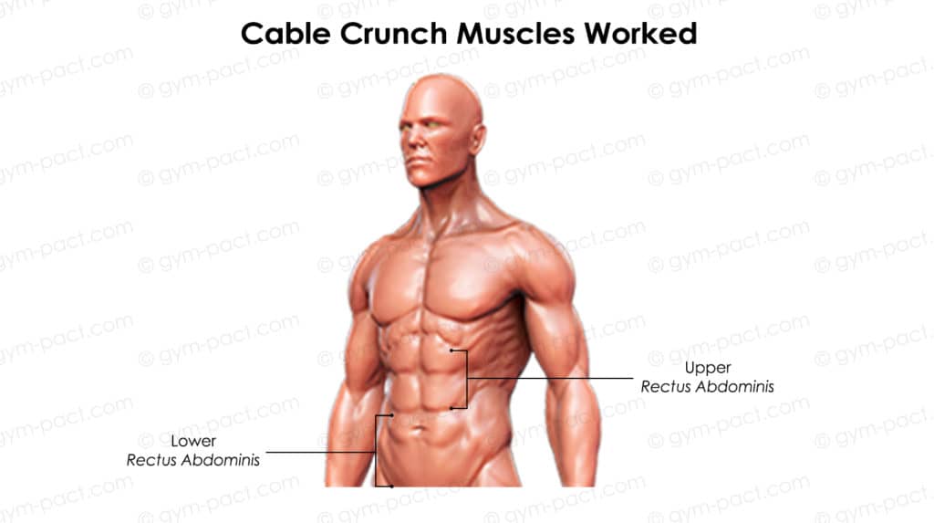 Cable Crunch MW copy