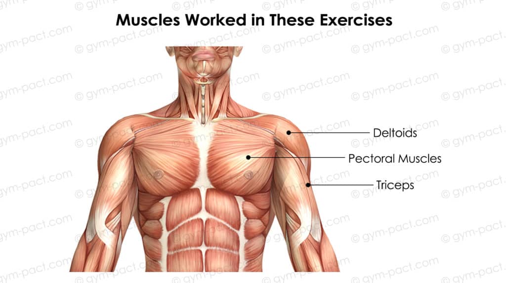 dumbbell chest exercises without bench mw
