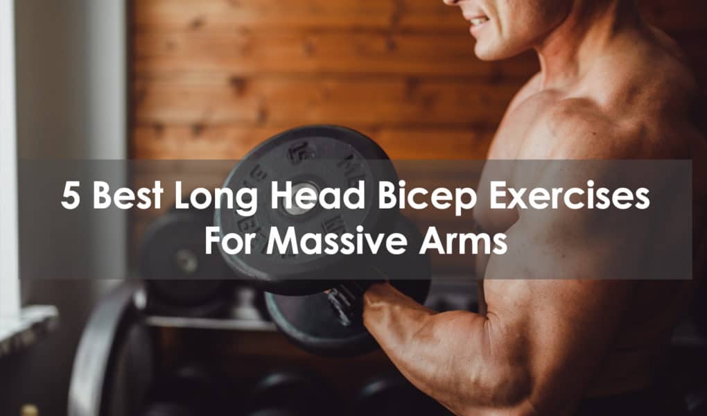 long head bicep exercises
