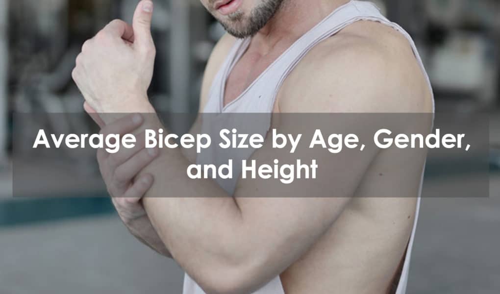 average bicep size by age, gender, and height