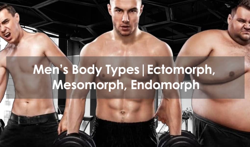 men's body types - ectomorph mesomorph endomorph