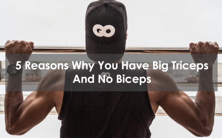 why you have big triceps and no biceps