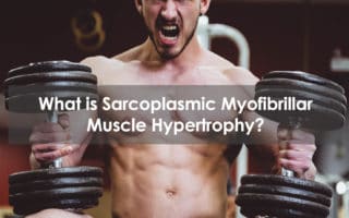 What is Sarcoplasmic Myofibrillar Muscle Hypertrophy