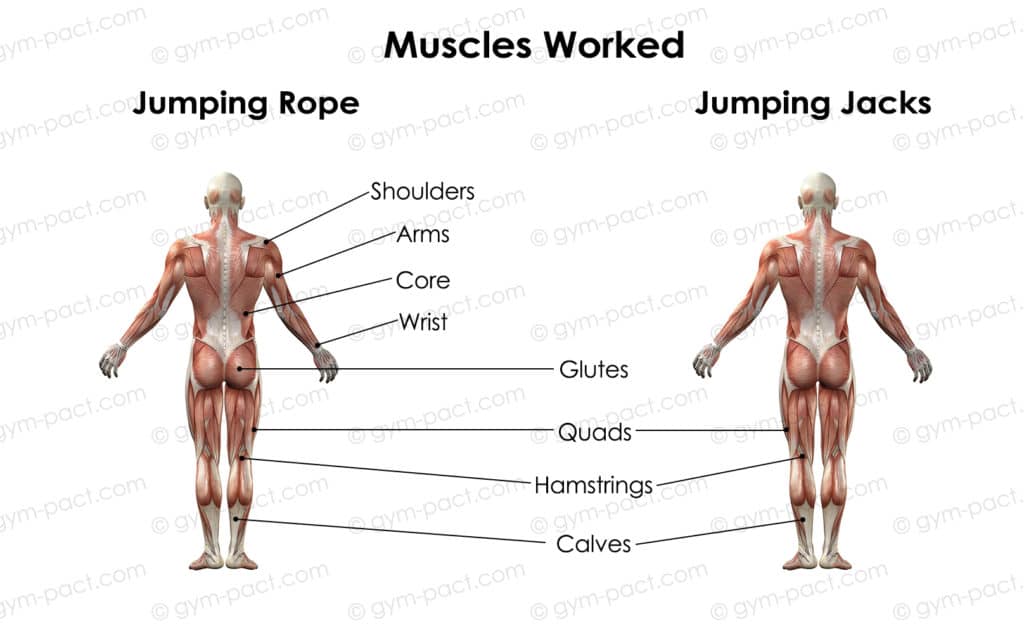 jumping rope jumping jacks or both what works best muscles worked 1