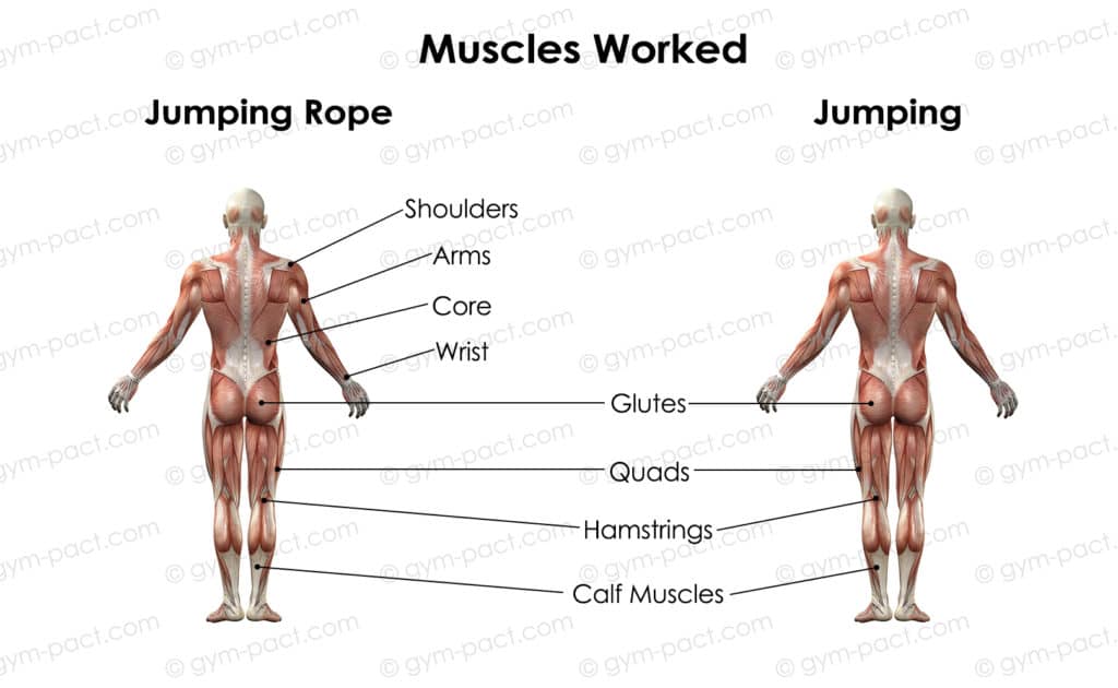 jumping rope vs jump rope muscles worked 1