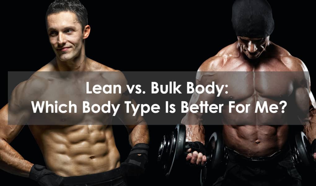 lean vs. bulk body