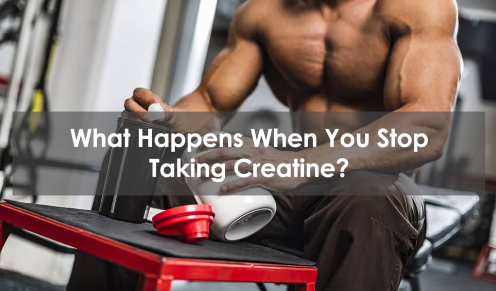 what happens when you stop taking creatine
