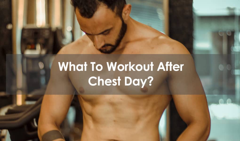 what to workout after chest day