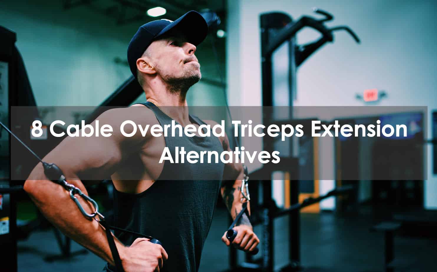8 Cable Overhead Triceps Extension Alternatives