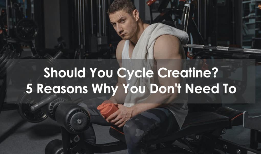 should you cycle creatine