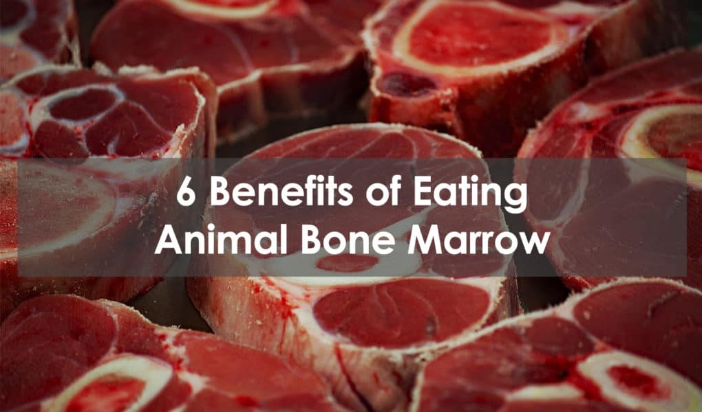 benefits of eating animal bone marrow